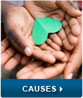 Causes Software